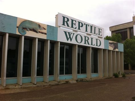 Reptile world - Reptile World’s venom show teaches guests about snakes — especially the 35 species indigenous to Florida — and reveals how Van Horn and his employees milk venom from four varieties of serpents.